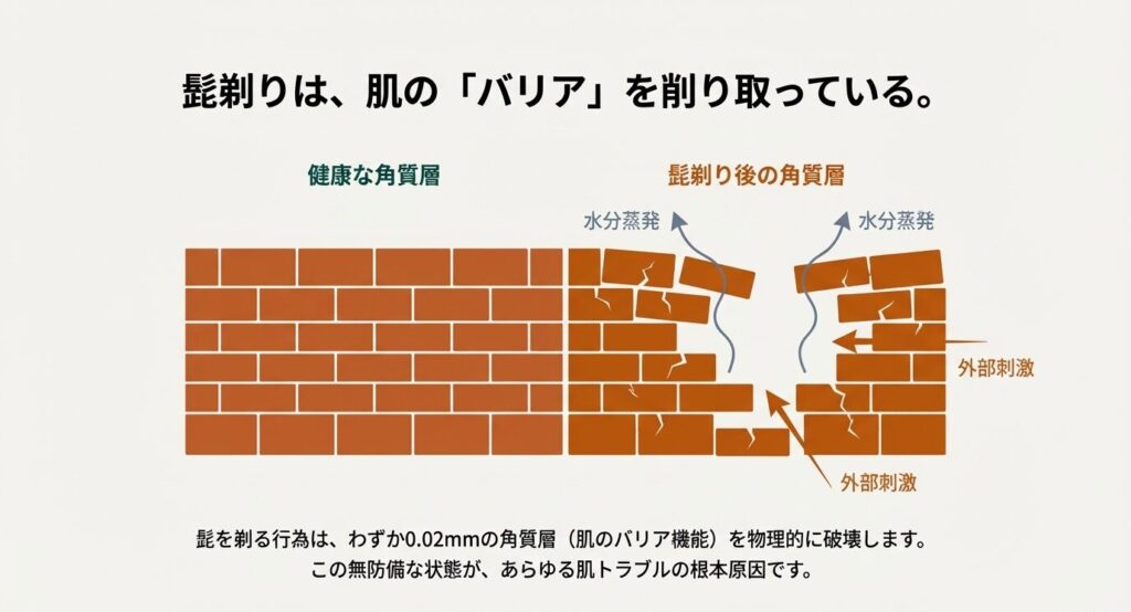 健康な肌のレンガ状の層と、髭剃り後の崩れた層の比較イラスト。隙間から水分が蒸発し、外部刺激が侵入する様子。