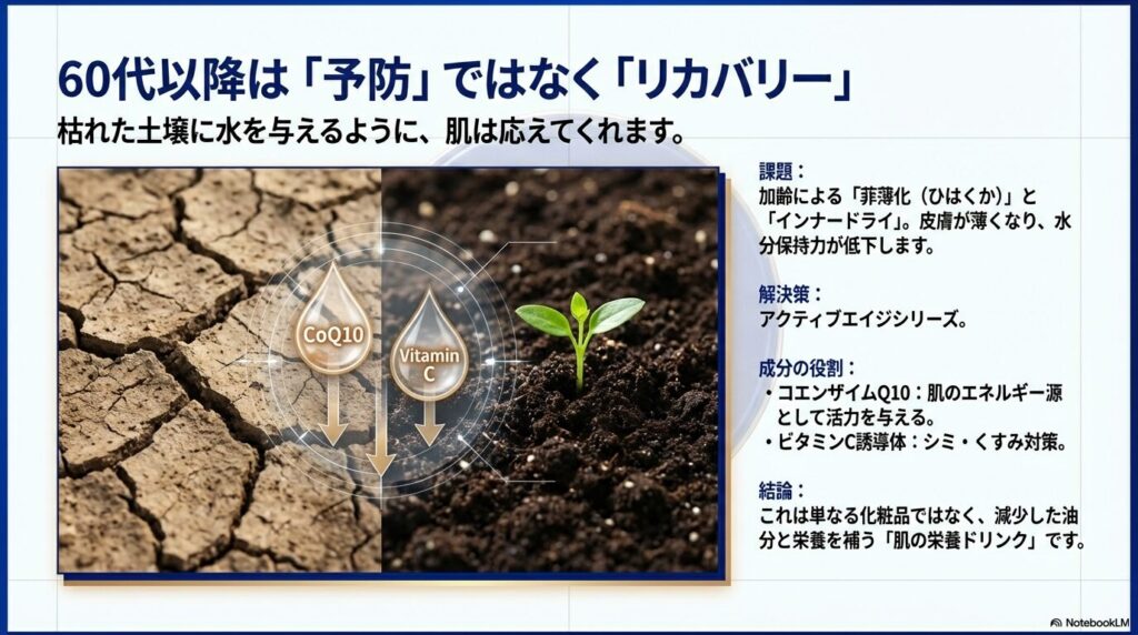 加齢による「菲薄化」や「インナードライ」に対し、コエンザイムQ10やビタミンC誘導体がどのように作用し、肌に活力を与えるかのメカニズム解説。